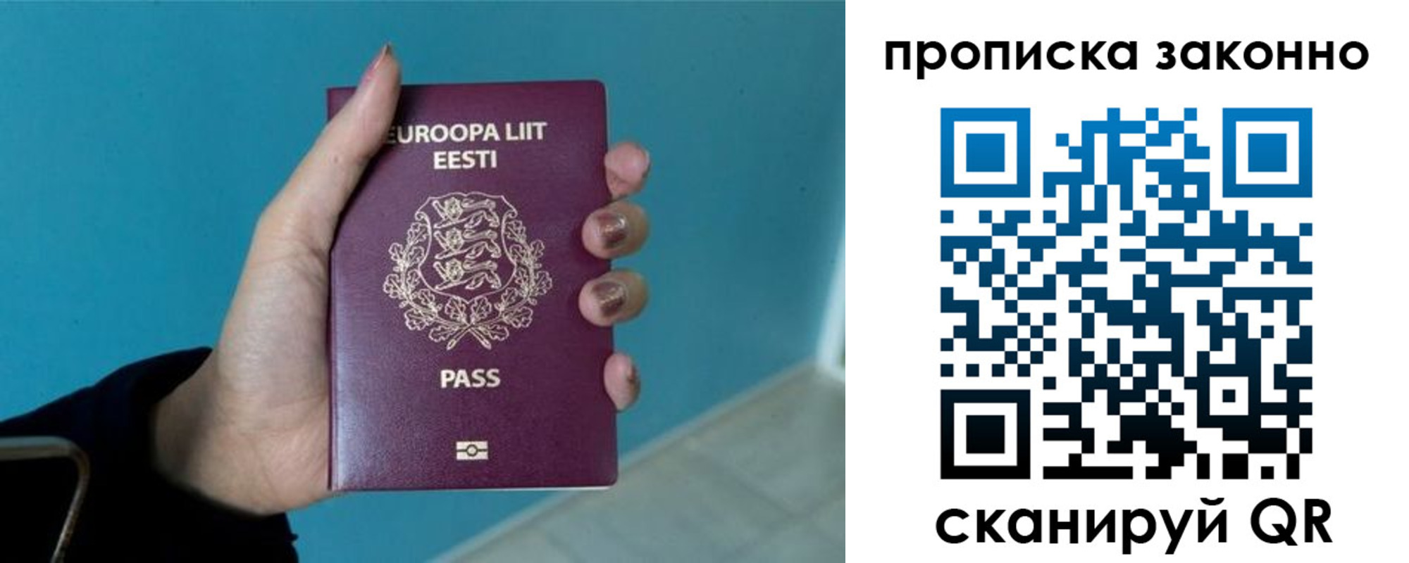 прописка гарантия в Строителе
